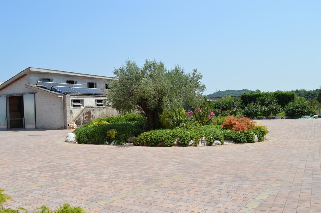 Agriturismo Ca' Del Gal Valeggio sul Mincio Bagian luar foto