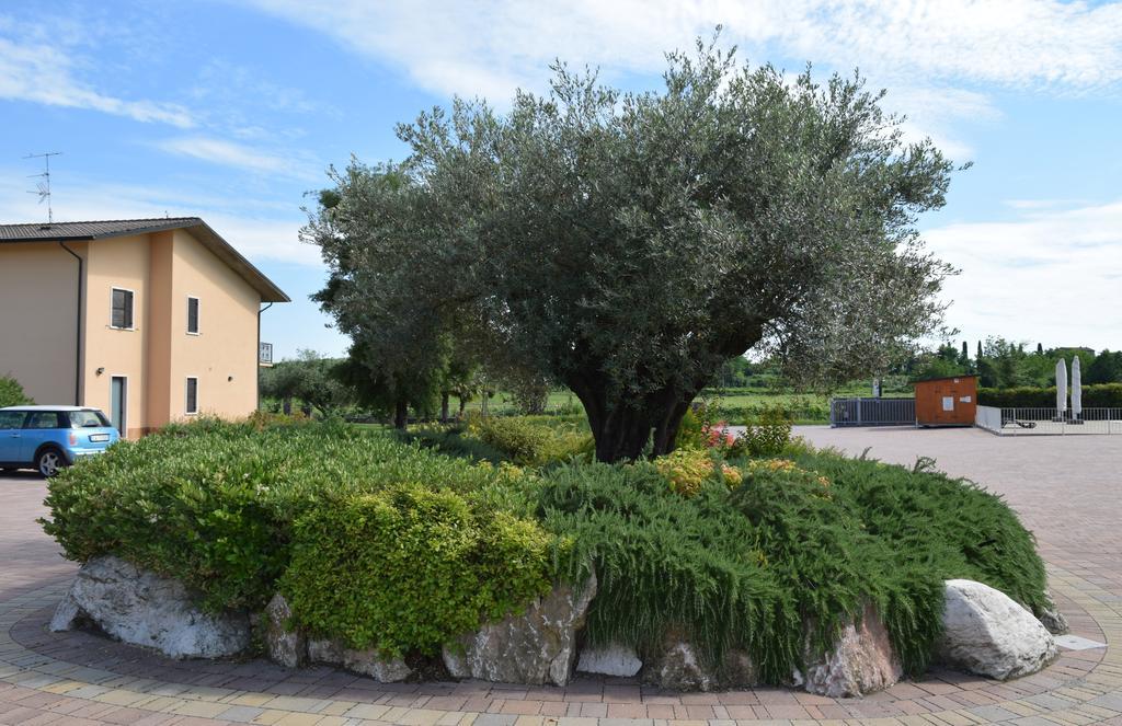 Agriturismo Ca' Del Gal Valeggio sul Mincio Bagian luar foto