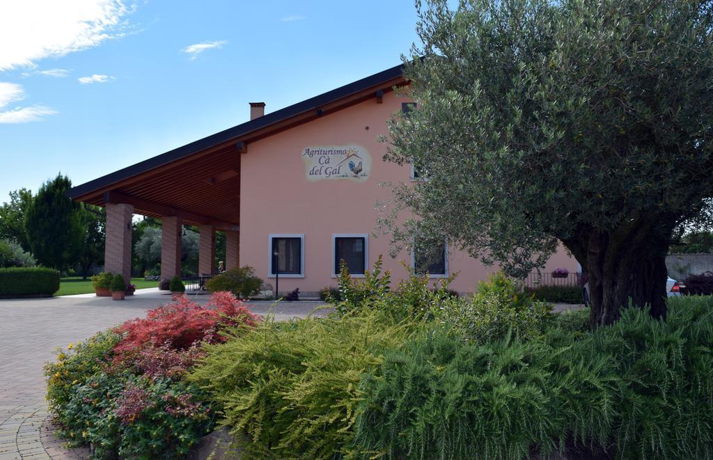 Agriturismo Ca' Del Gal Valeggio sul Mincio Bagian luar foto