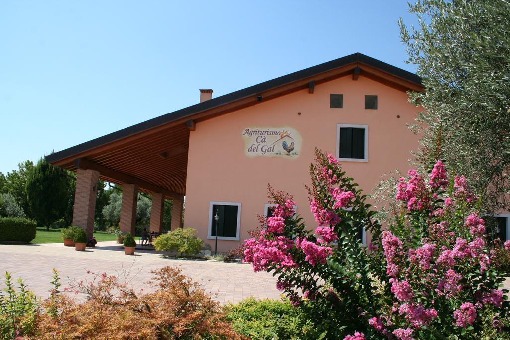 Agriturismo Ca' Del Gal Valeggio sul Mincio Bagian luar foto